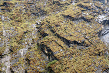 Closeup texture of annapurna massif mountains on annapurna national park Nepal - surface background concept 