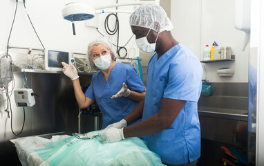 Woman veterinarian and man assistant during operation in a veterinary clinic