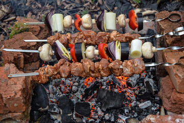 Obraz premium raw pork meat grilled kebabs and vegetables