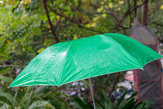 Wet green umbrella with blurred nature background