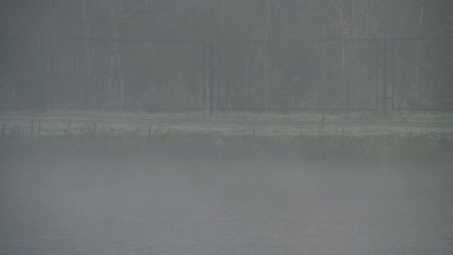 Fense of the park and forg on the whater. Foggy morning on the pond in the park