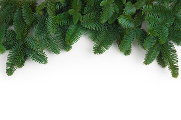 Green natural fir tree branches garland isolated on white background