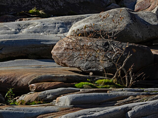Illuminated rocks in the stream bed