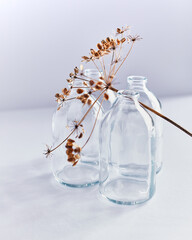 dried flowers in a beautiful vase