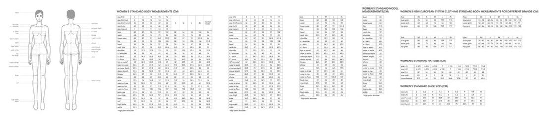 Set of men and women body parts terminology measurements and size charts Illustration for clothes and accessories production fashion 9 head male and female size chart. Human body infographic template