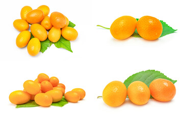 Collage of kumquats isolated on a white background cutout