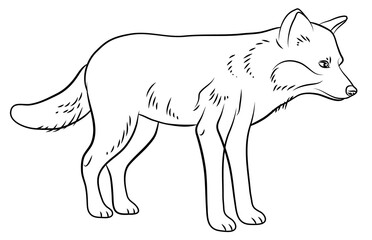 In the animal world. Image of a fox. Black and white drawing, coloring.