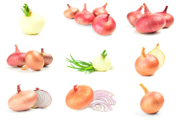 Collage of Onion isolated on a white background cutout