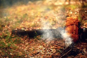 autumn view picnic bonfire, landscape in the forest campfire barbecue tourism