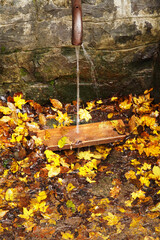 Autumn water of Transcarpathia