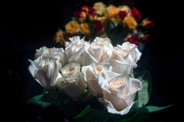 Fototapeta premium Roses