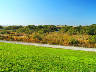 Obraz premium 晩秋の除草された江戸川土手と河川敷風景