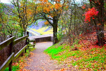 herbstlich gefärbtes Unteres Moseltal im Bereich Winninger Brücke und Dieblich