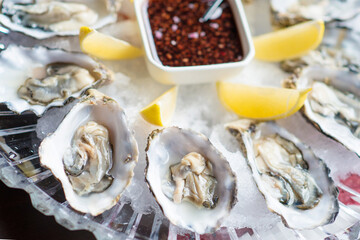 Fresh oysters in a white plate with ice and lemon
