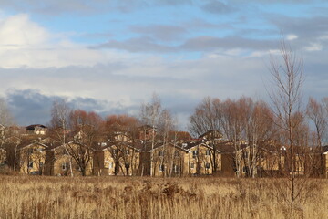 village houses behind the trees in November