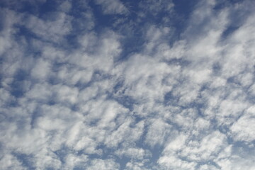 The blue and white fluffy clouds In the winter evening like a painter painting in the sky