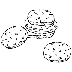 Chocolate biscuits with nuts. Vector illustration of cookies with chocolate and nuts. Hand drawn icon, logo biscuit. Tasty round cookies.