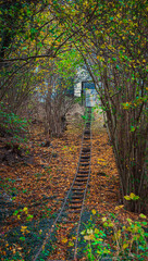railway in autumn forest 