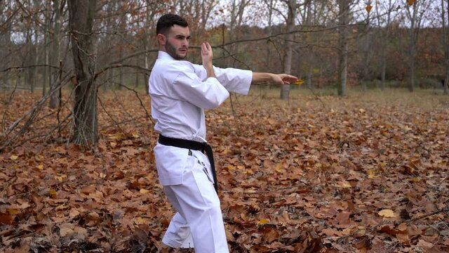 Karate fighter black belt man doing karate outdoors in nature in autumn. Karate Wado Ryu. Bassai