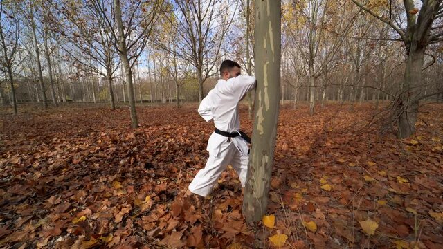 Karate fighter with black belt beating a tree to strengthen his hands and arms outdoors in an autumn landscape. Traditional karate Wado Ryu