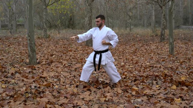 karate fighter black belt man practicing katas in the forest in nature in an autumn landscape. Karate Wado Ryu, Wanshu. 4k video