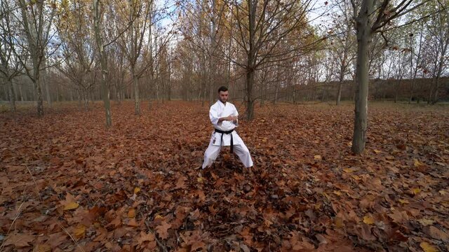 Concentrated male black belt karate fighter practicing kata and doing slow and flowing movements and punches outdoors in an autumn landscape. Wide angle shot. Traditional karate wado Ryu. Seisan
