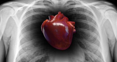 Human Heart Beat Anatomy. X-Ray Skeleton On Background. Science And Health Related 3D Illustration Render