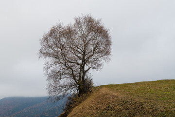 Herbst