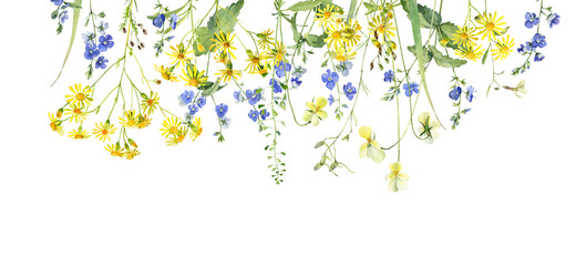 Watercolor background of wild yellow and blue flowers on a white backdrop