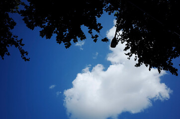 하얀 구름이 잔뜩 떠 있는 파란 하늘