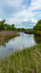 Obraz premium river