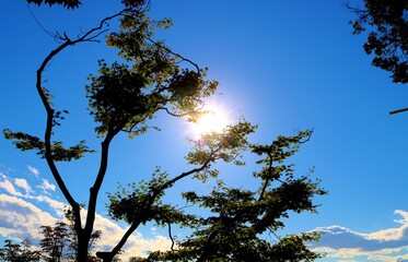穏やかな秋の日　山　風景　