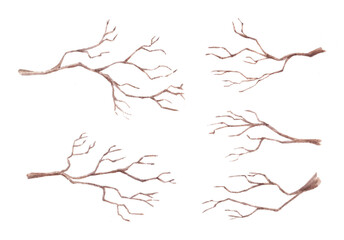 Set of watercolor leafless branches.