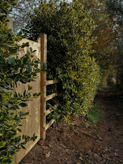 a wooden gate on the forest path