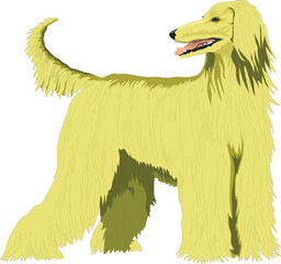 Fototapeta na wymiar illustration of a dog