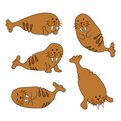 Morses. Cartoon cute characters walruses avatars vector collection. © Yaroslava