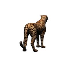 Wild animals - cheetah - isolated on white background - 3D illustration