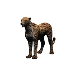 Wild animals - cheetah - isolated on white background - 3D illustration