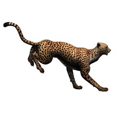 Wild animals - cheetah - isolated on white background - 3D illustration