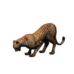 Wild animals - cheetah - isolated on white background - 3D illustration