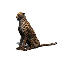 Wild animals - cheetah with shadow on the floor - isolated on white background - 3D illustration