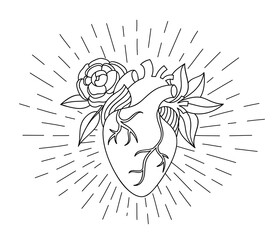 Vector illustration with hand drawing blooming heart for Valentines day