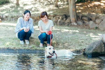 犬の散歩をする女性たち
