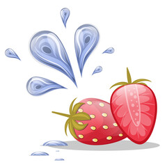 Fresh strawberries with water drops isolated on a white background. Fresh berries for food illustrations. Vector illustration..
