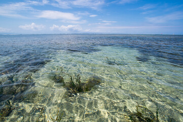 The coast of Indian ocean
