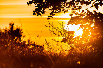 Morning Orange Sunrise 