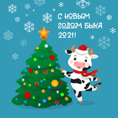 Happy New Year Cartoon Cows Character. Russian Greeting Card. Cow celebrating the 2021. New Year of Ox. Bull Cartoon character in Santa Hat, Funny Animal. Translation: Happy New Year of Ox