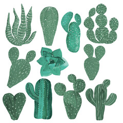 Cactuses hand-painted illustration on white background Exotic desert plant Inroom plant for home decor
