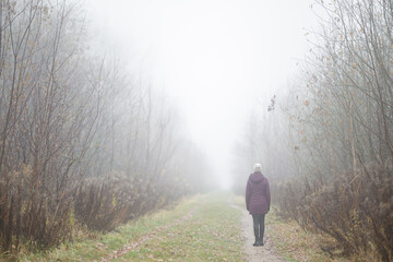 One adult young woman in dark warm clothes walking on natural trail. Cold overcast foggy autumn day. Spending time alone in nature. Back view.