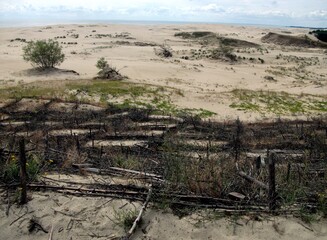 Russia, Kaliningrad region, Curonian spit